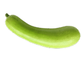 సొరకాయ ( sorakaya )