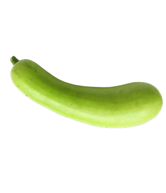 సొరకాయ ( sorakaya )