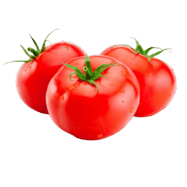 టమోటా ( tomato )