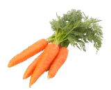 కారెట్ ( Carrot)
