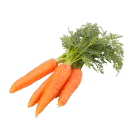 కారెట్ ( Carrot)