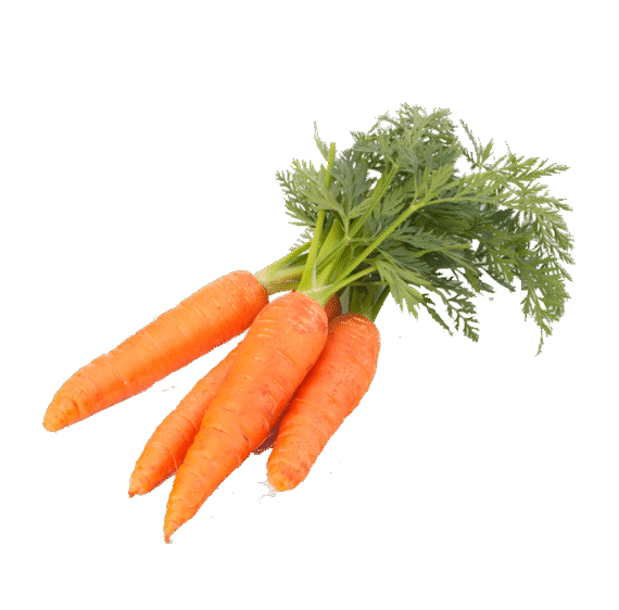 కారెట్ ( Carrot)