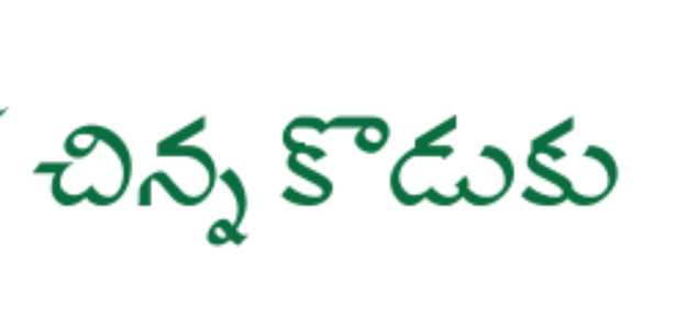 village chinna koduku
