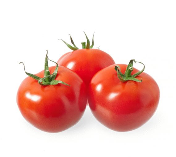 టమోటా ( tomato )