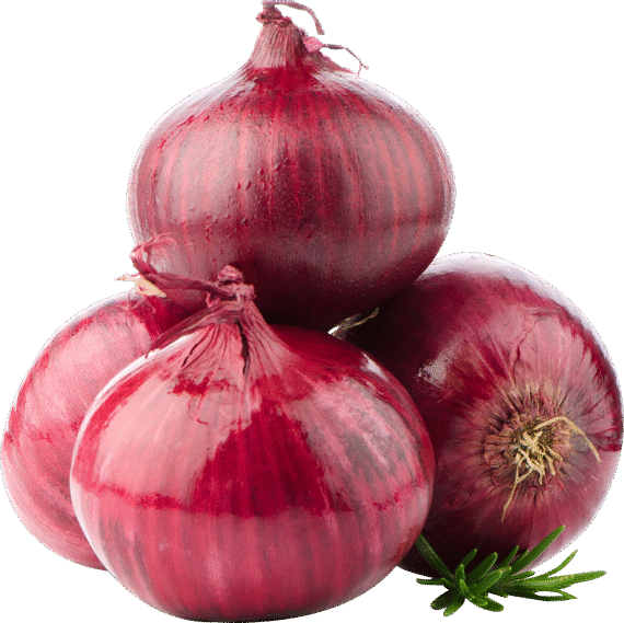 ఉల్లిగడ్డ ( Onions )