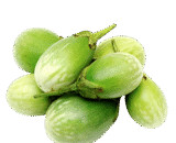 వంకాయ ( vankaya )